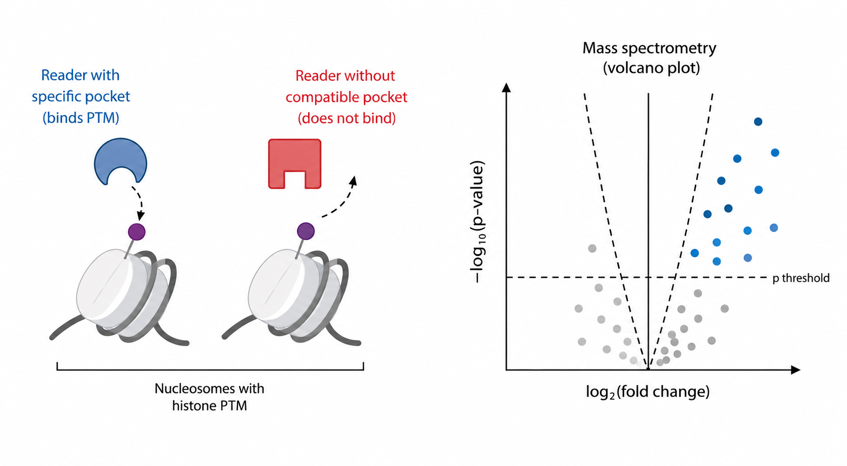 Chromatin readers